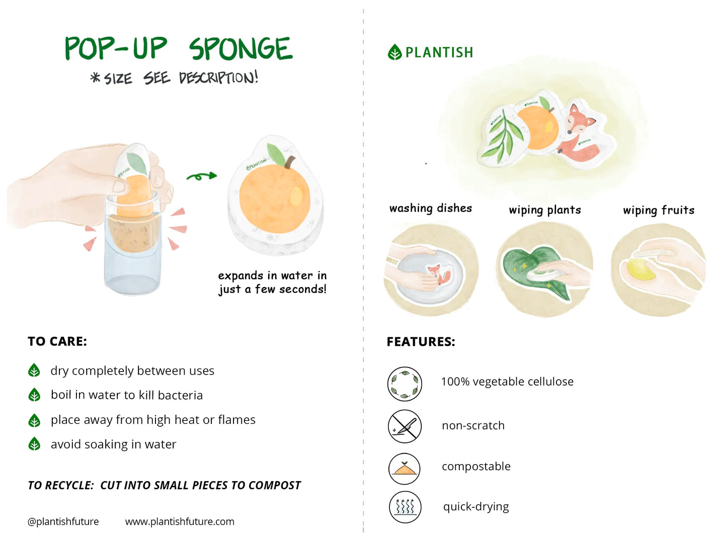 Eucalyptus - Pop up Sponge