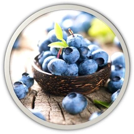 DR.HC Collagen Blueberry Serum (15g, 0.5oz.) (with Collagen, Blueberry & 5% Alpha-Arbutin) (Collagen Supply, Anti-aging, Skin brightening, Skin plumping...)