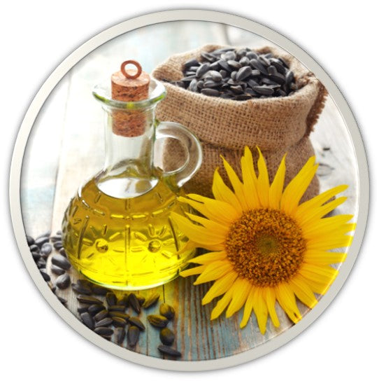 DR.HC Honeybebe' Organic Mama Prebirth & Baby Oil (2.4 fl.oz., 70 ml)